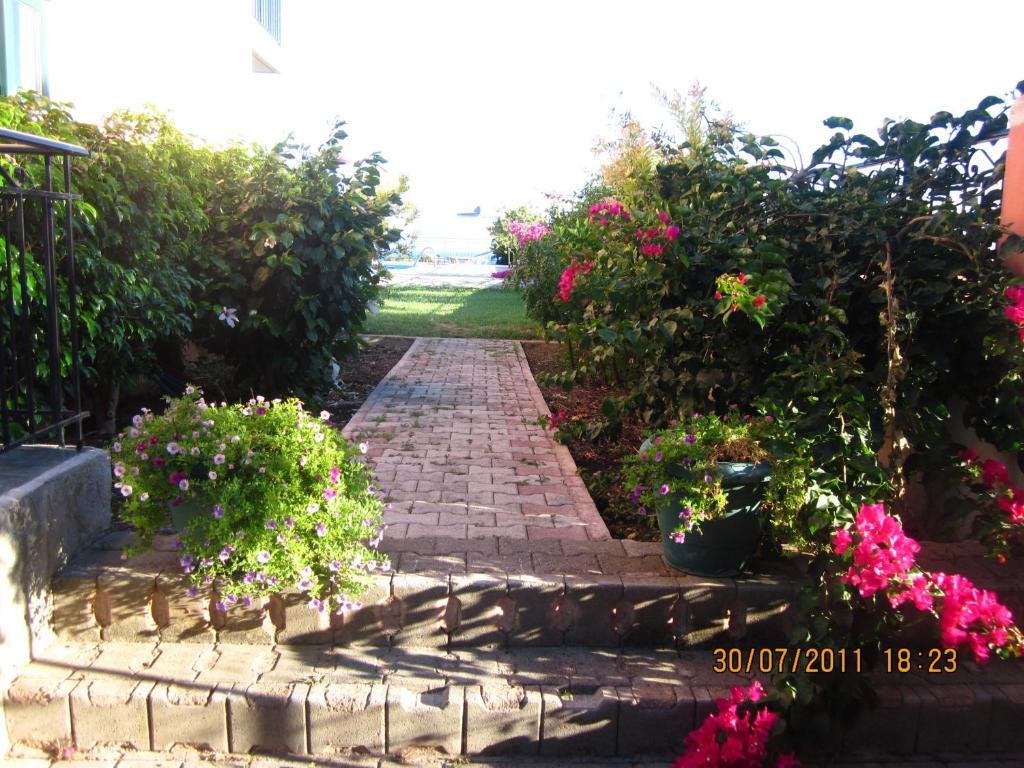טרפזאקי Gerasimoula Studios חדר תמונה